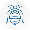 Bed Bug Extermination In Wandsworth Town