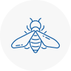 Bee Nest Removal Wandsworth Town