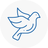 Bird Prevention Wandsworth Town