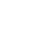 Domestic Ant Control For Wandsworth Town