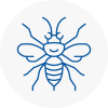 Wandsworth Town Hornet Nest Removals