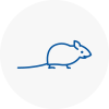 Mice Exterminators In Wandsworth Town