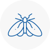 Moth Control Specialists In Wandsworth Town
