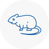 Rat Control Wandsworth Town