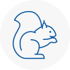 Wandsworth Town Rodent Removals